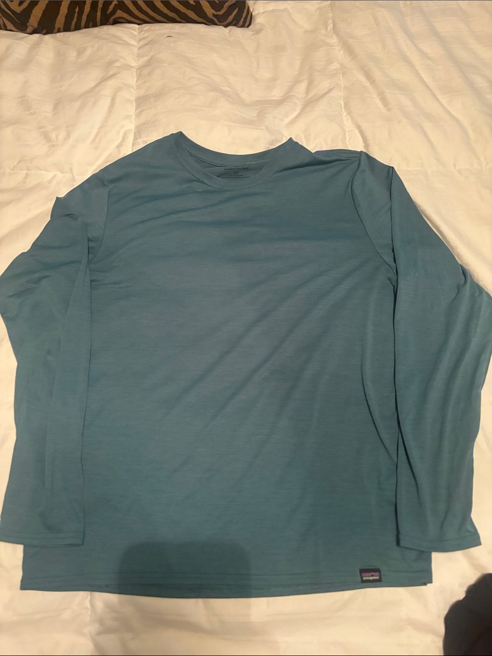 Patagonia Men's Long Sleeve Crew in Teal